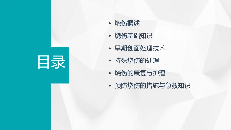 烧伤基础知识与早期创面处理课件_第2页