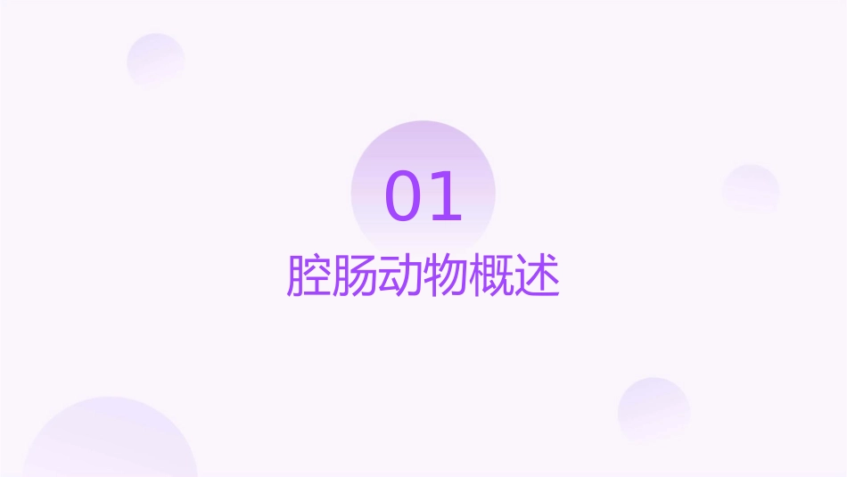 腔肠动物及扁形动物课件_第3页