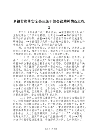 乡镇贯彻落实全县三级干部会议精神情况汇报2 