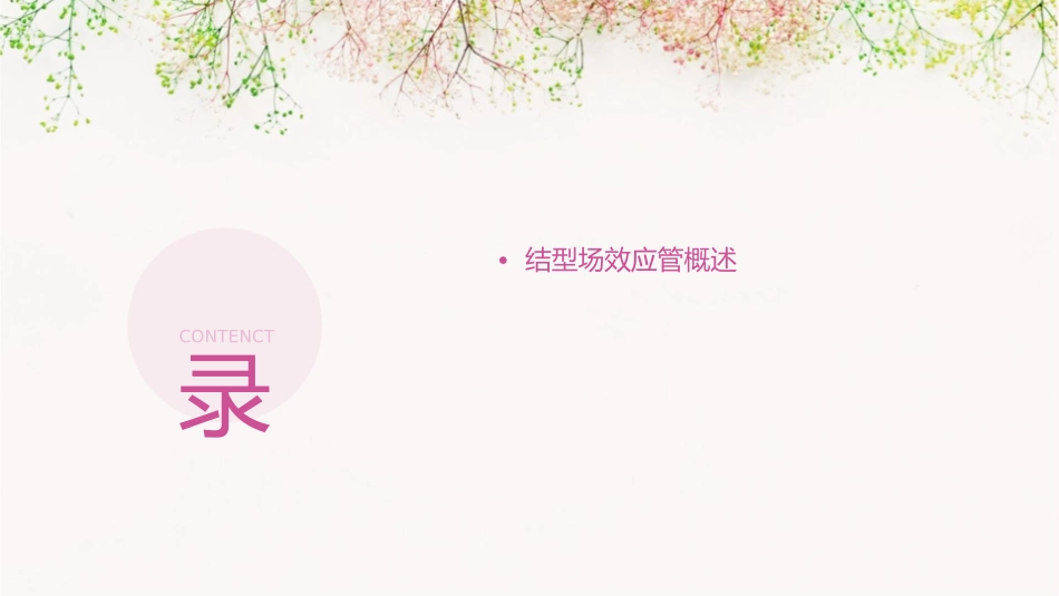 结型场效应管教学课件_第2页