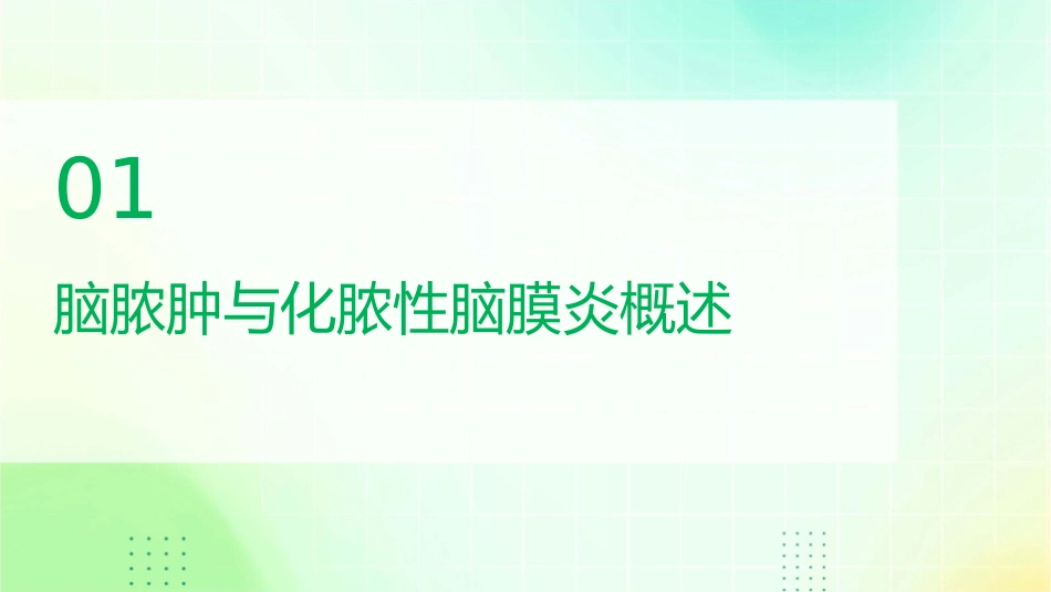 脑脓肿与化脓性脑膜炎的影像诊断护理课件_第3页