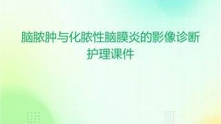 脑脓肿与化脓性脑膜炎的影像诊断护理课件