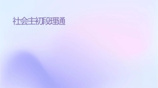社会主义初级阶段理论通用课件