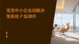 宝龙中小企业战略决策系统P版课件