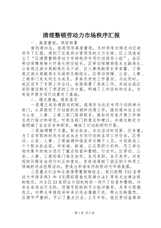 清理整顿劳动力市场秩序汇报 