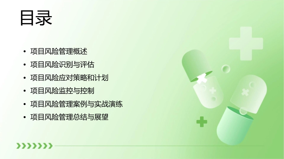 精美的项目风险管理课件_第2页