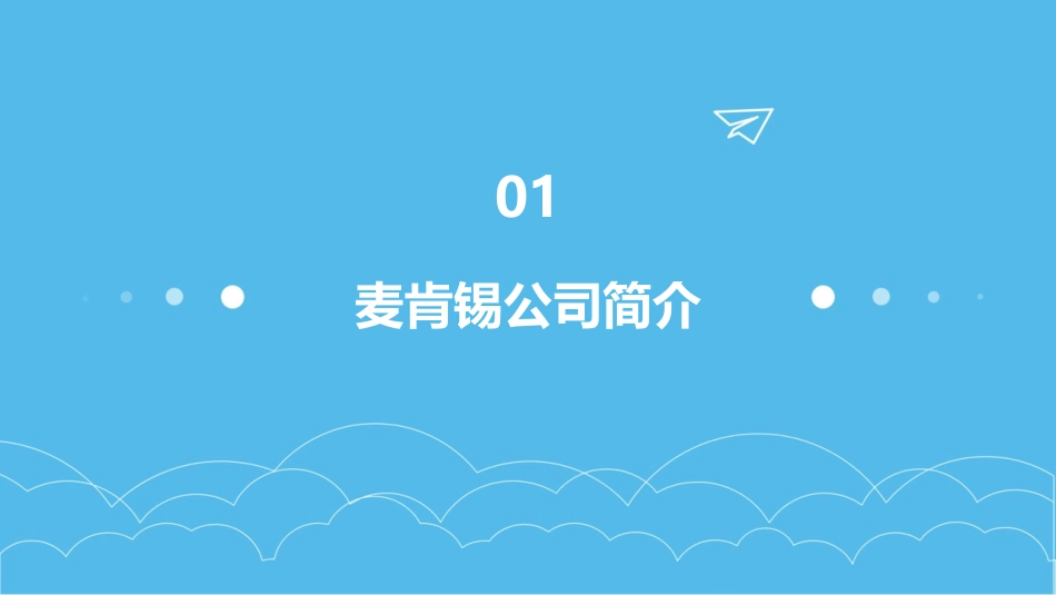 麦肯锡西南证券的人力资源战略课件_第3页