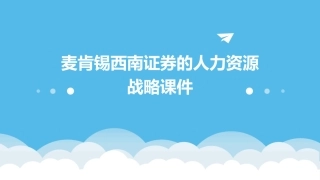 麦肯锡西南证券的人力资源战略课件