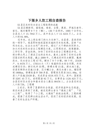 下渠乡人饮工程自查报告 
