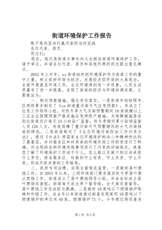 街道环境保护工作报告 