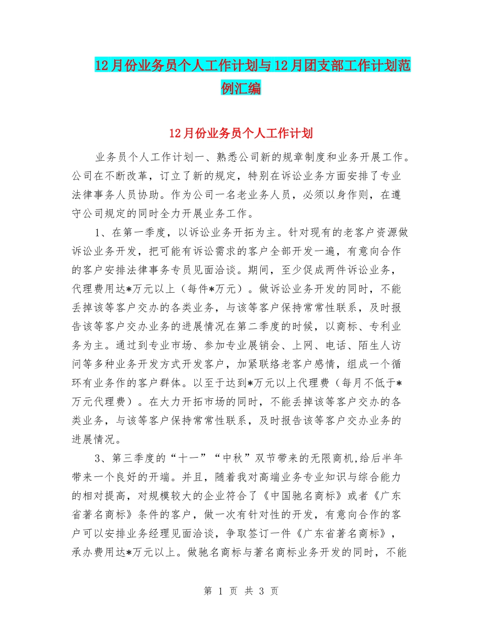 12月份业务员个人工作计划与12月团支部工作计划范例汇编_第1页