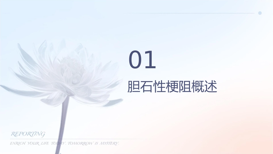 胆石性肠梗阻护理课件_第3页