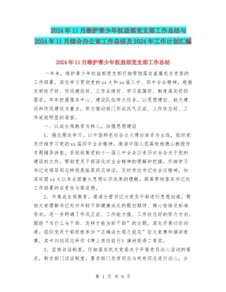 2024年11月维护青少年权益部党支部工作总结与2024年11月综合办公室工作总结及2024年工作计划汇编