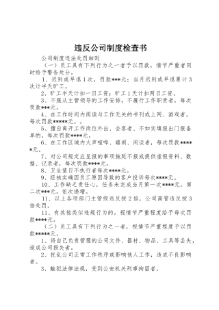 违反公司规章制度细则检查书