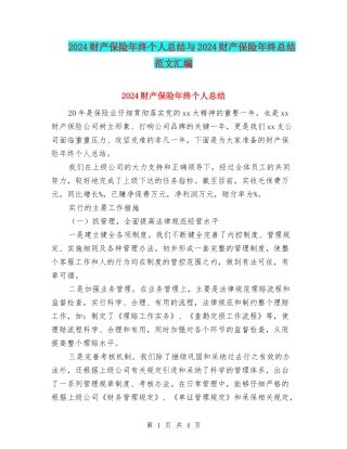 2024财产保险年终个人总结与2024财产保险年终总结范文汇编