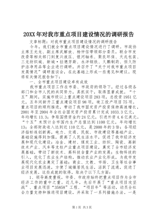 20XX年对我市重点项目建设情况的调研报告 (5)