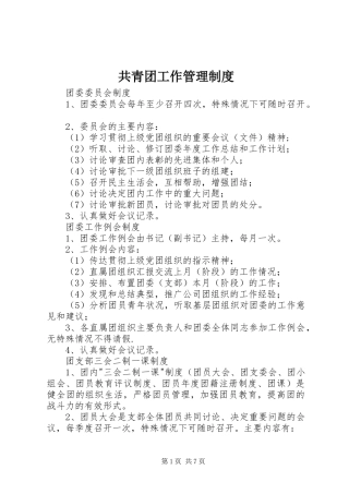 共青团工作管理规章制度细则