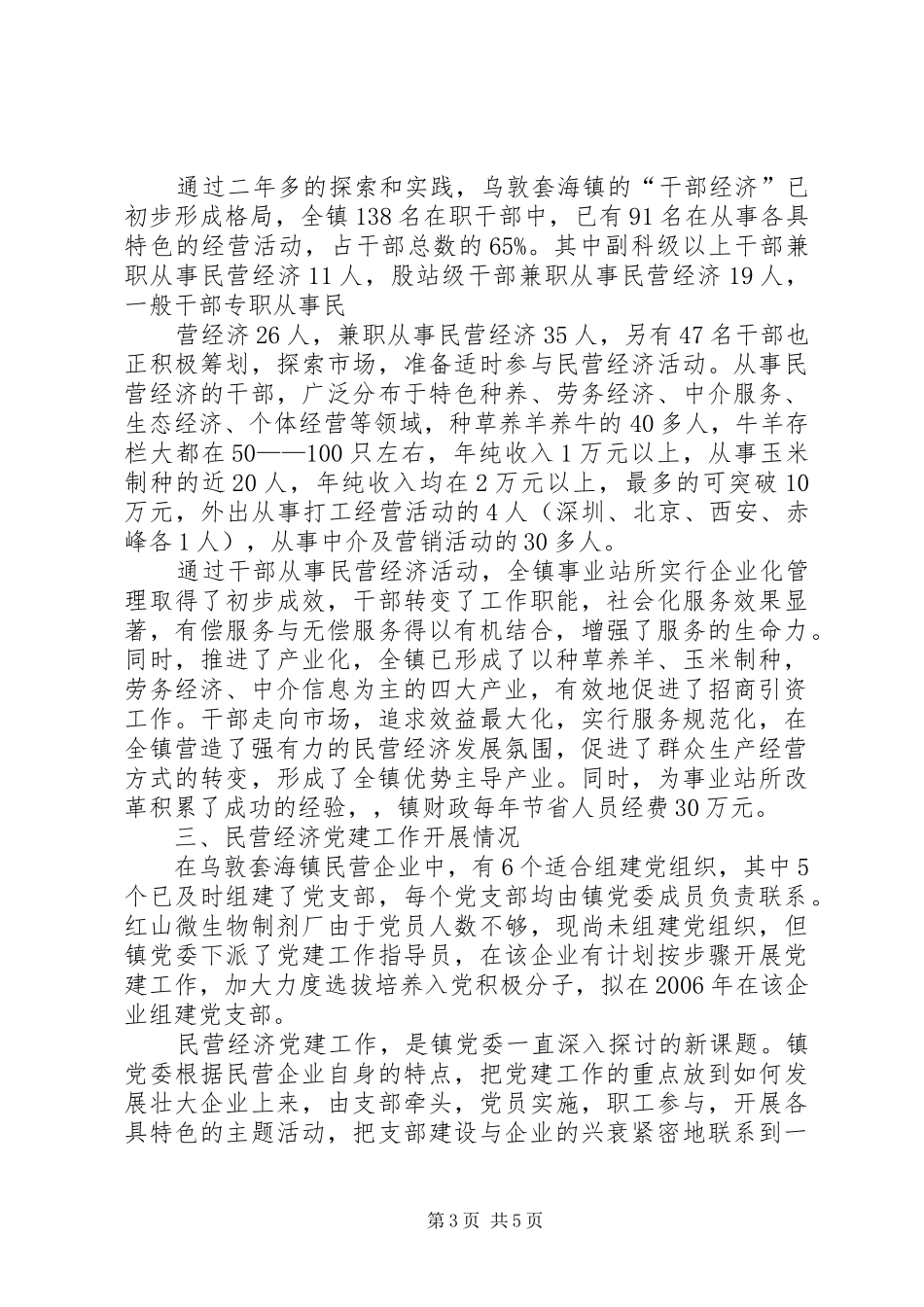 深入推进“旗域经济民营化”战略问题调研报告 _第3页