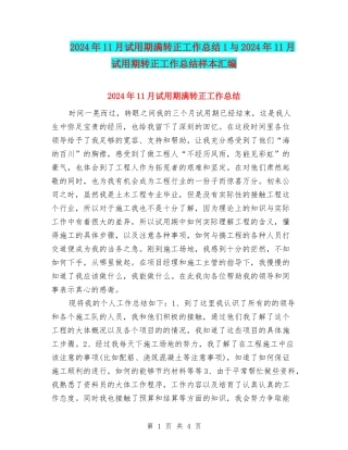 2024年11月试用期满转正工作总结1与2024年11月试用期转正工作总结样本汇编