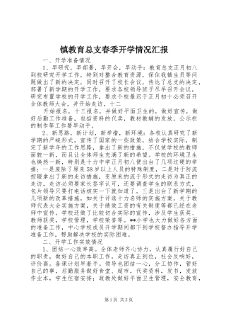 镇教育总支春季开学情况汇报 