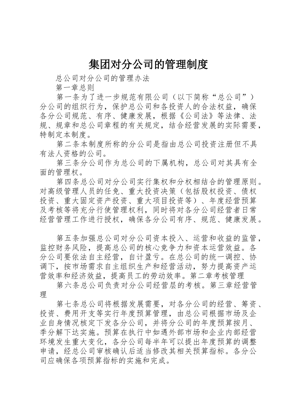 集团对分公司的管理规章制度  (2)_第1页