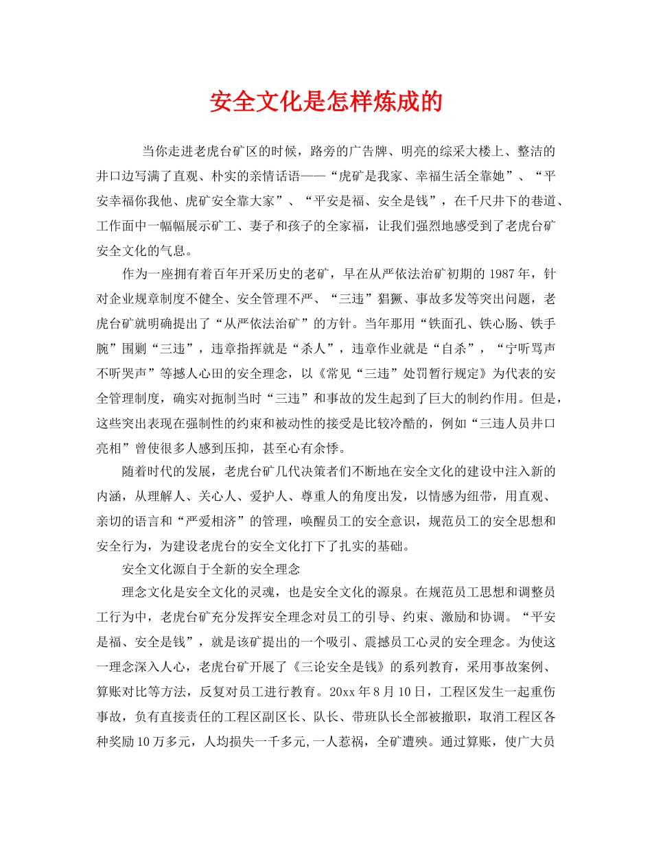《安全文化》之安全文化是怎样炼成的 _第1页