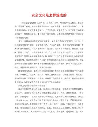 《安全文化》之安全文化是怎样炼成的 