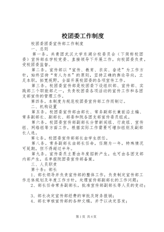 校团委工作规章制度 