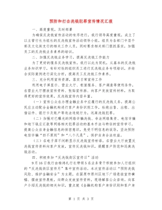 预防和打击洗钱犯罪宣传情况汇报
