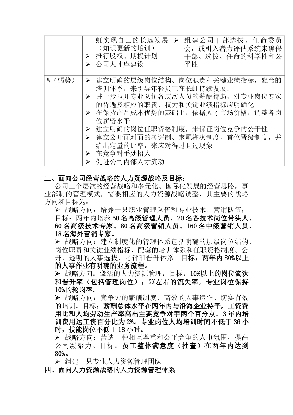 某公司人力资源战略分析_第2页