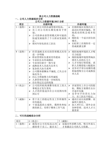 某公司人力资源战略分析