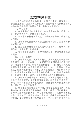 党支部规章管理规章制度