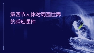 第四节人体对周围世界的感知课件