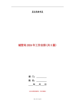 城管局2024年工作安排