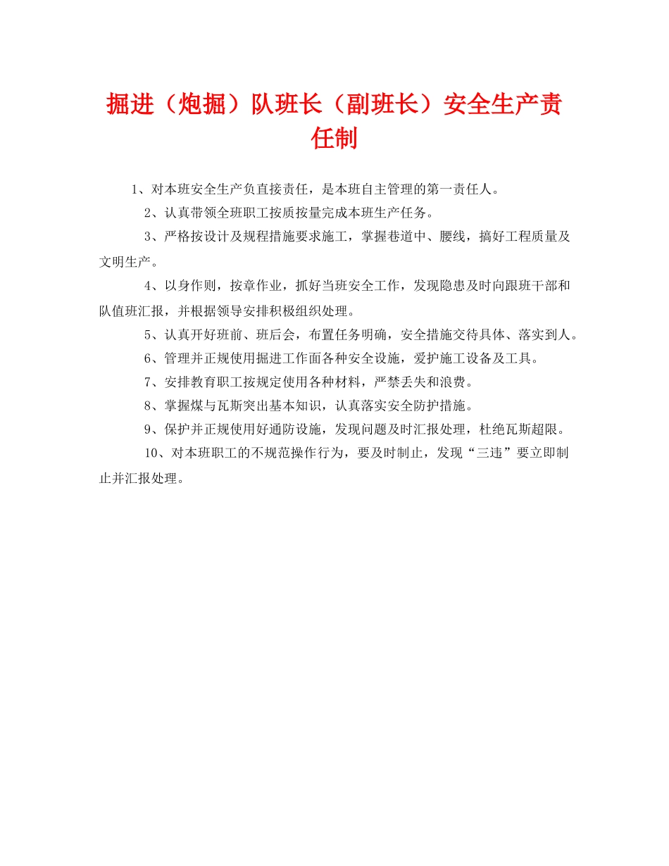 《安全管理制度》之掘进（炮掘）队班长（副班长）安全生产责任制 _第1页