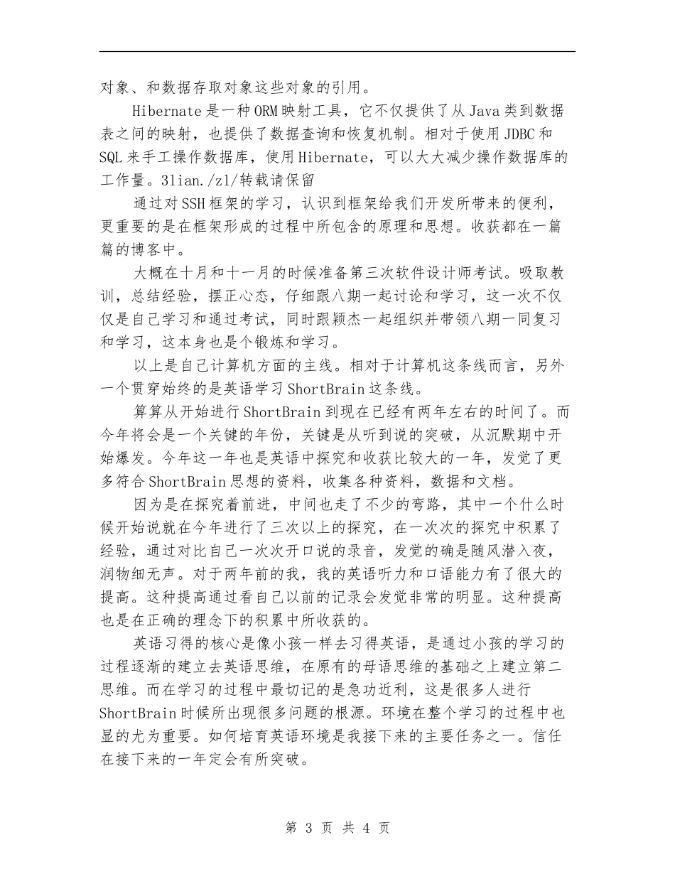 2024年度程序员年度工作总结_第3页