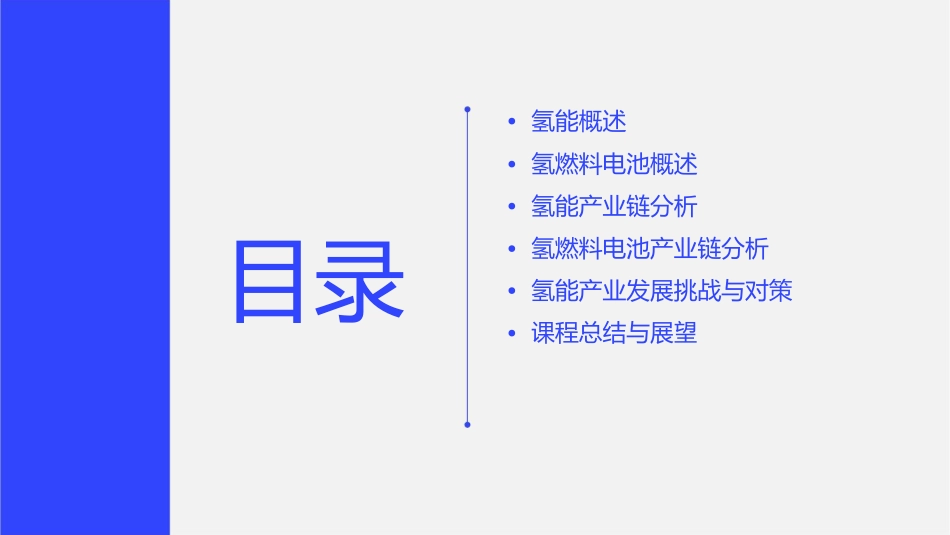 氢能与氢燃料电池产业链概述教学课件_第2页