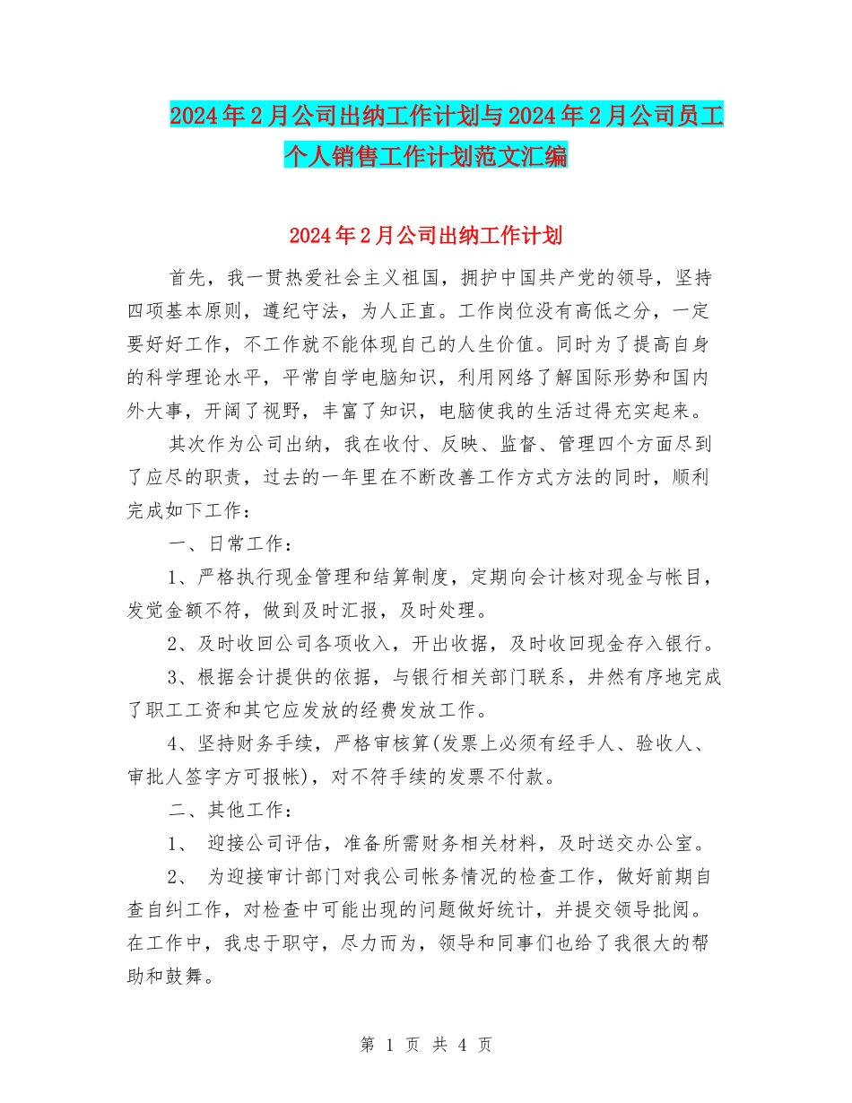 2024年2月公司出纳工作计划与2024年2月公司员工个人销售工作计划范文汇编_第1页