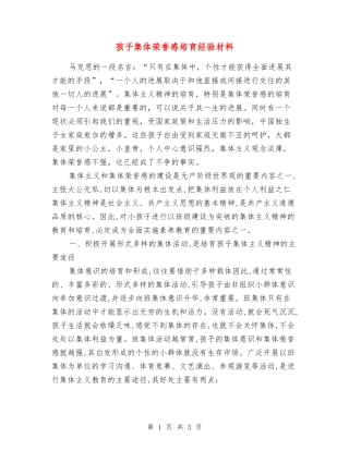孩子集体荣誉感培育经验材料