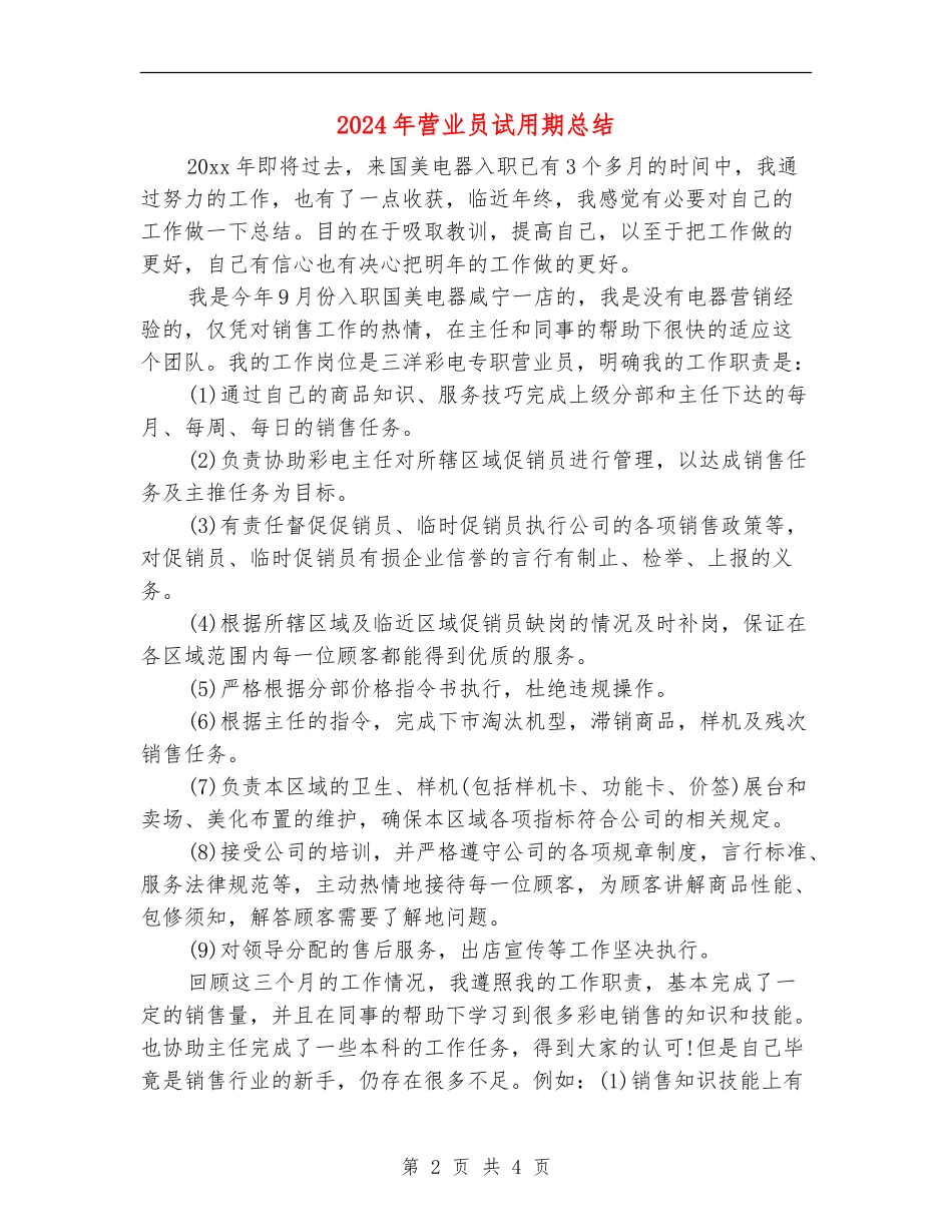 2024年营业员试用期总结_第2页