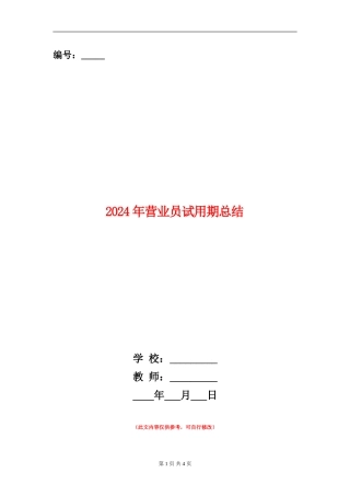 2024年营业员试用期总结