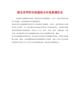 《安全管理应急预案》之湖北省枣阳市组建综合应急救援队伍 