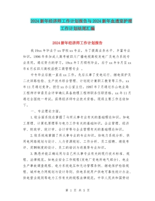 2024新年经济师工作计划报告与2024新年血透室护理工作计划结尾汇编