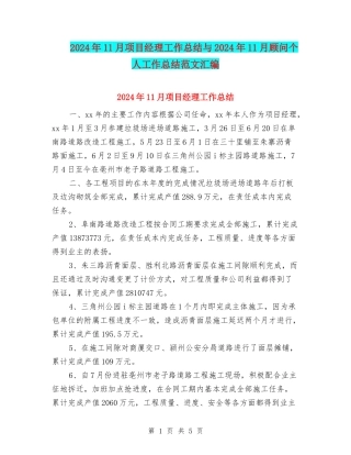 2024年11月项目经理工作总结与2024年11月顾问个人工作总结范文汇编
