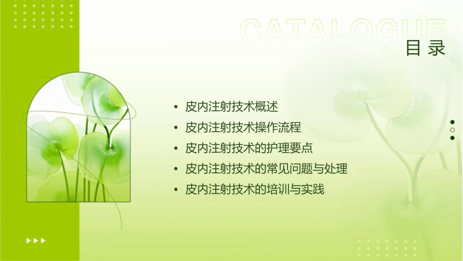 皮内注射技术护理课件_第2页