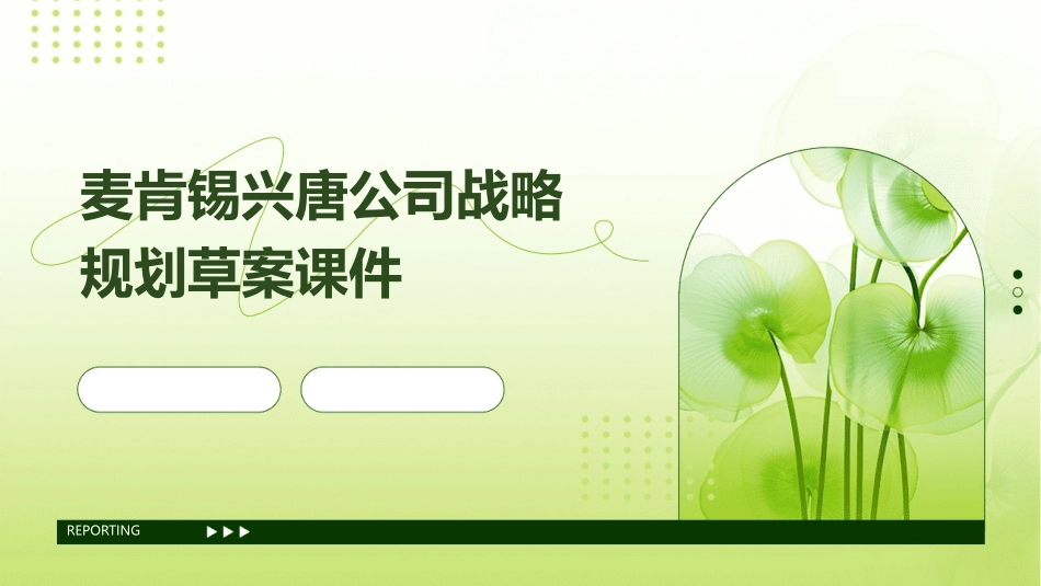 麦肯锡兴唐公司战略规划草案课件_第1页
