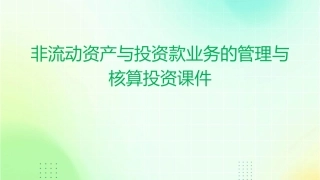 非流动资产与投资款业务的管理与核算投资课件