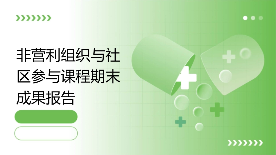 非营利组织与社区参与课程期末成果报告课件_第1页