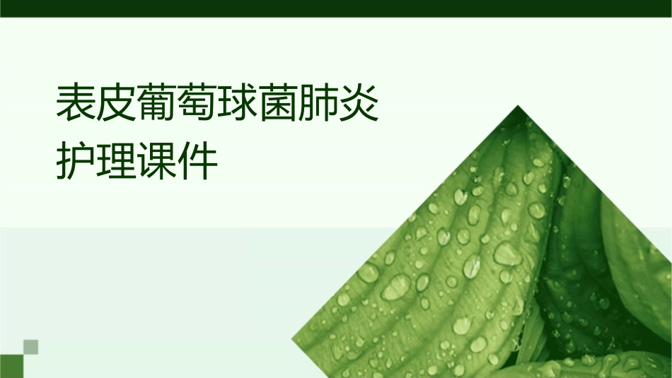 表皮葡萄球菌肺炎护理课件_第1页