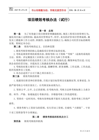 项目绩效考核办法(DOC40页)